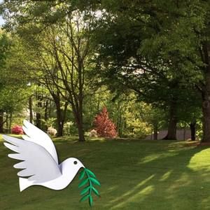 Meet your Posher, Pat